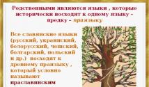 Тема: « русский язык в семье славянских языков»